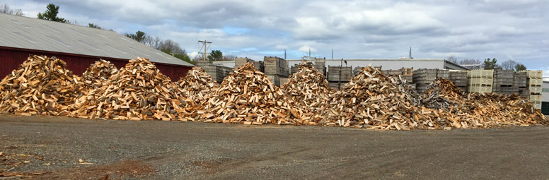 Lots of Wood Piles